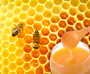 The Royal Jelly Benefits